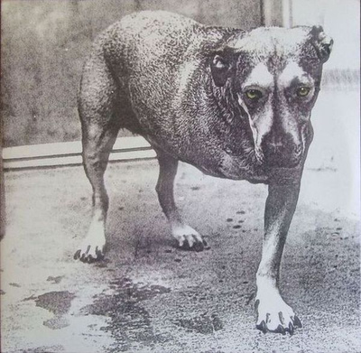 Alice In Chains (CD) EX+!!