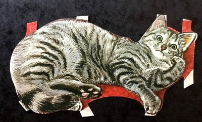 Kissa Kiiltokuva