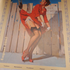 Seinäkalenteri 2002 pin-up - pikkukuva 2