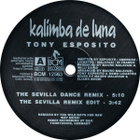 TONY ESPOSITO :: KALIMBA DE LUNA :: VINYYLI 12" MAXI 1992 - pikkukuva 3