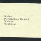 ALE - EO 5806 - Nelkku - Kauniit kalat 2 - Agathon!!! - pikkukuva 2