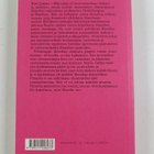 Karl Jaspers : Johdatus filosofiaan - pikkukuva 2