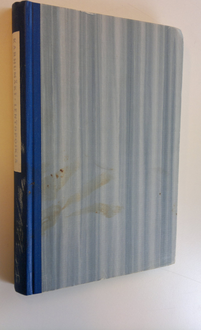 Niilo Karhumäki : Lentopoikia (signeerattu)