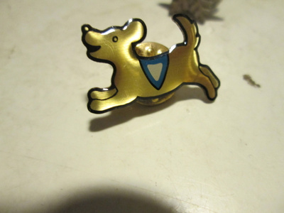 pinssi koira 1