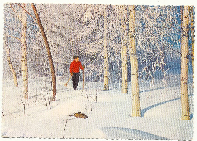 Hiihtäjä talvisessa metsässä