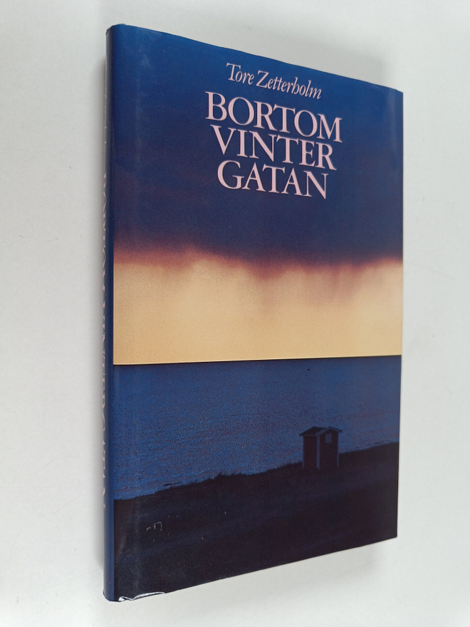 Tore Zetterholm : Bortom vinter gatan