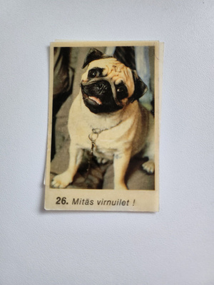 Tarrakuva 17399 Jenkki