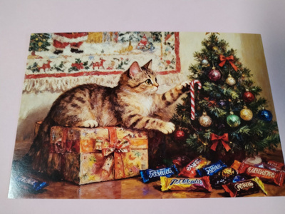 Kissa kortti,kulkematon.