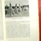 Eerik Laid : Säden torkar  1952 1.p. - pikkukuva 2