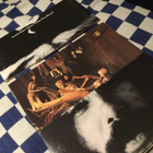 Laurie Kaye Cohen Under The skunk Us lp 1973 - pikkukuva 4