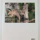 Leonard Lee Rue : Wolves : a portrait of the animal world - pikkukuva 2