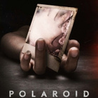 polaroid	(57 498)	UUSI	-FI-	nordic,	DVD			2017 - pikkukuva 1