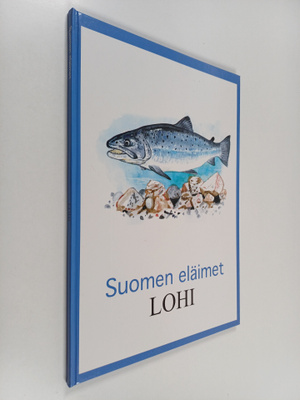 Lohi