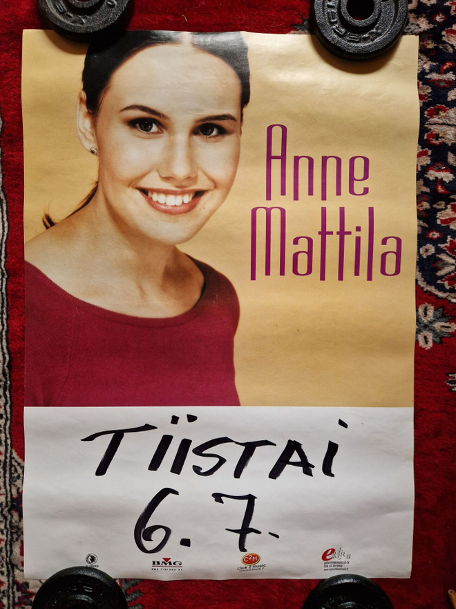 Anne Mattila Keikkajuliste 6 . 60×42cm