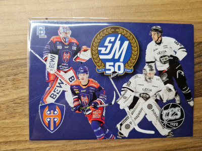 Tappara oversize card blueline