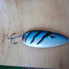 Kuusamo Suurhauki 9,5cm - pikkukuva 1