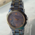 Citizen wr100 Saphire. - pikkukuva 1