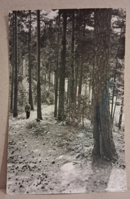 Vierumäki: Suomen Urheiluopisto *** (716)