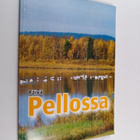 Paavo Korteniemi : Päivä Pellossa 2008 - pikkukuva 1