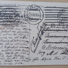 Tiput, hevosenkenkä, kukkia, urpuja, p. 1914 Suomeen - pikkukuva 2