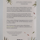 Pirjo Toivanen : Siskoni Italiassa - pikkukuva 2
