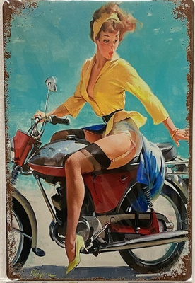 Pin-up kylttejä 5 kpl