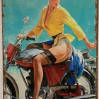 Pin-up kylttejä 5 kpl - pikkukuva 1