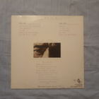 Astro Lanes – Reality lp 1989 Suomi hard rock, pop rock - pikkukuva 2