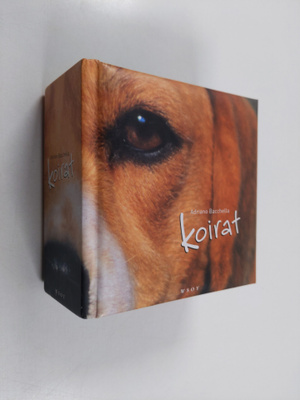 Adriano Bacchella : Koirat