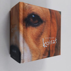 Adriano Bacchella : Koirat - pikkukuva 1
