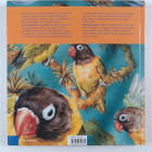Andreas Knobl : Porcelain painting - exotic birds = Porze... - pikkukuva 2
