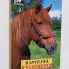 Merja Jalo : Ravikesä - pikkukuva 1