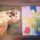 Jasper Pääkkönen/Simpsonit  -juliste - pikkukuva 2