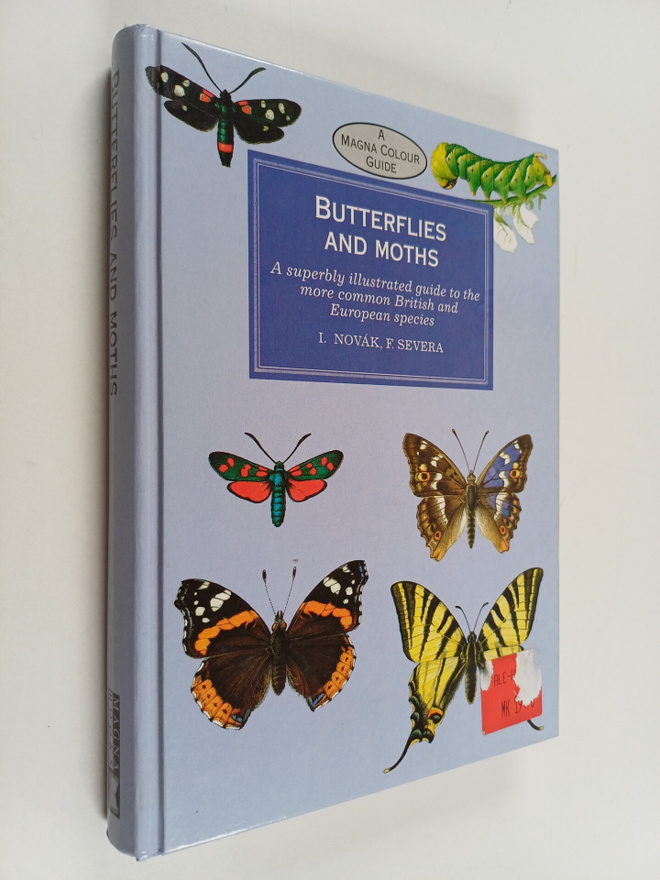 Ivo Novak : Butterflies and Moths : A superbly illustrate...