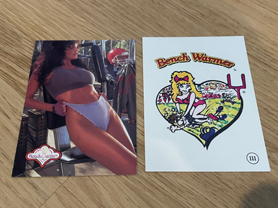 1992 Bench Warmer #53 Julie Strain