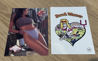 1992 Bench Warmer #53 Julie Strain