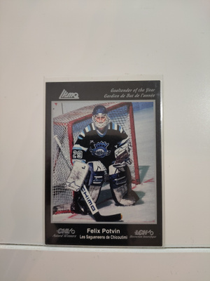 1991 7th Inning Sketch CHL Award Winners #26 Felix Potvin