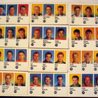 Jyväshyvä 1993-94 tarroja, Katso - pikkukuva 1