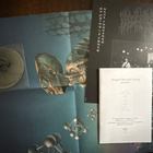 LP: Blood Incantation – Hidden History Of The Human Race - pikkukuva 4