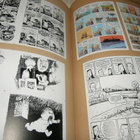 Paul Gravett Sarjakuvaromaani - pikkukuva 4