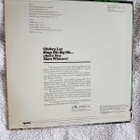 Dickey Lee  – Never Ending Song Of Love  LP - pikkukuva 2