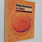 Linda J. Heffner : Human Reproduction at a Glance - pikkukuva 1