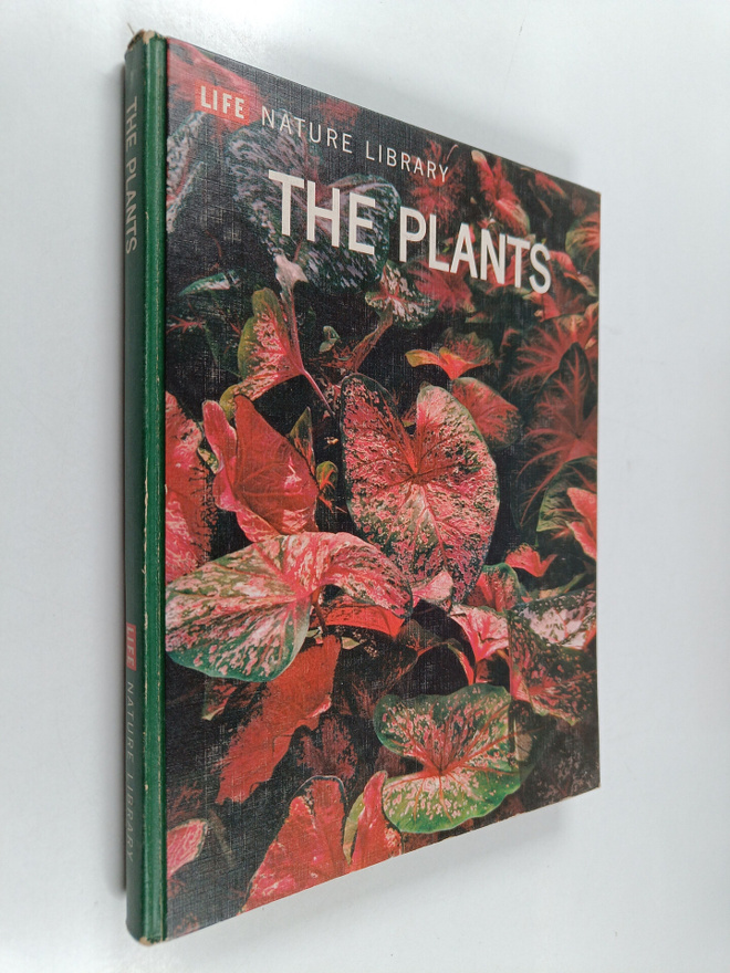 Rfits W. Went : The Plants