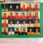 Williams 1972-1973 kiekkokortit. 43kpl. - pikkukuva 1