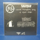 NITERIS - NITERIS EX+/M HOL 2022 + INSERT LP - pikkukuva 2