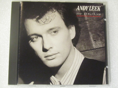 Andy Leek • Say Something CD