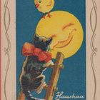 Kissa tikkailla - pikkukuva 1