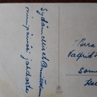 Alfred Scheack vanha kukkakortti, kuvataide kortti  v. 1950 - pikkukuva 3
