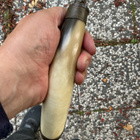 Herraskainen Ruutisarvi kun oikein annostelujutulla - pikkukuva 4