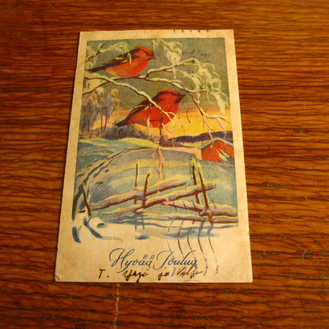 pk pk 5153/9 vanhakoko metsän laidan linnut kulkenut 1955